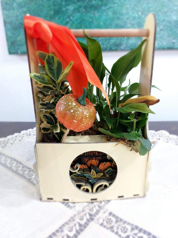 Casa Calea Haiducilor Sohodol  エクステリア 写真