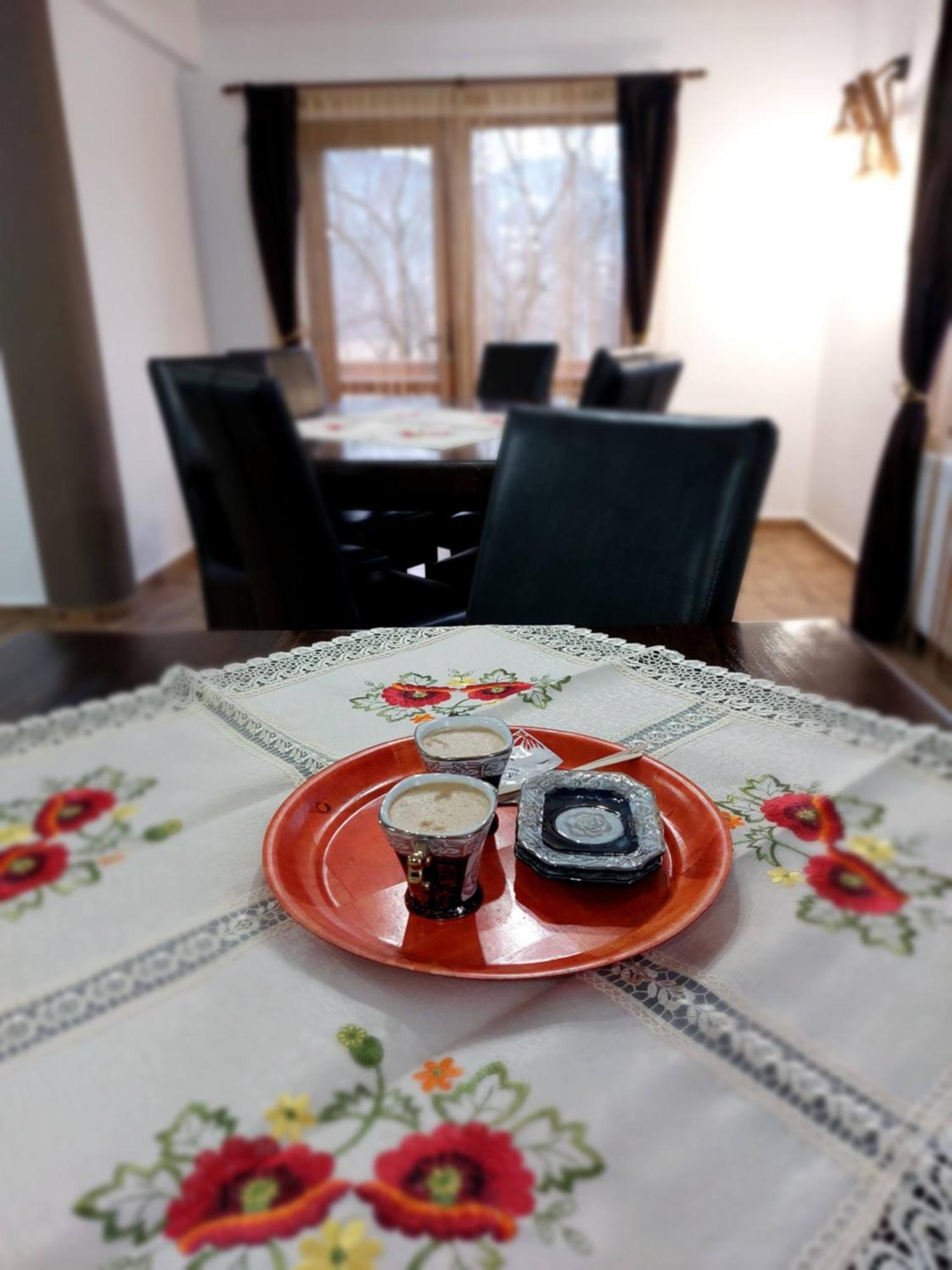 Casa Calea Haiducilor Sohodol  エクステリア 写真